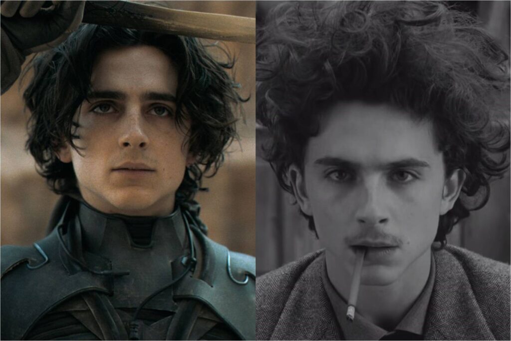 Timothée Chalamet in Dune and The French Dispatch
