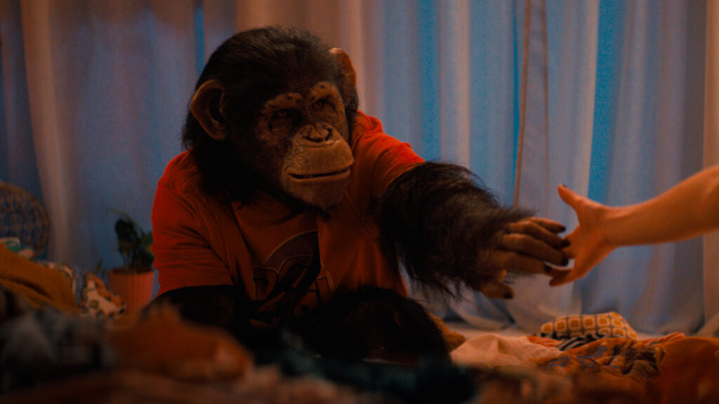 A shot of the ape in Primate