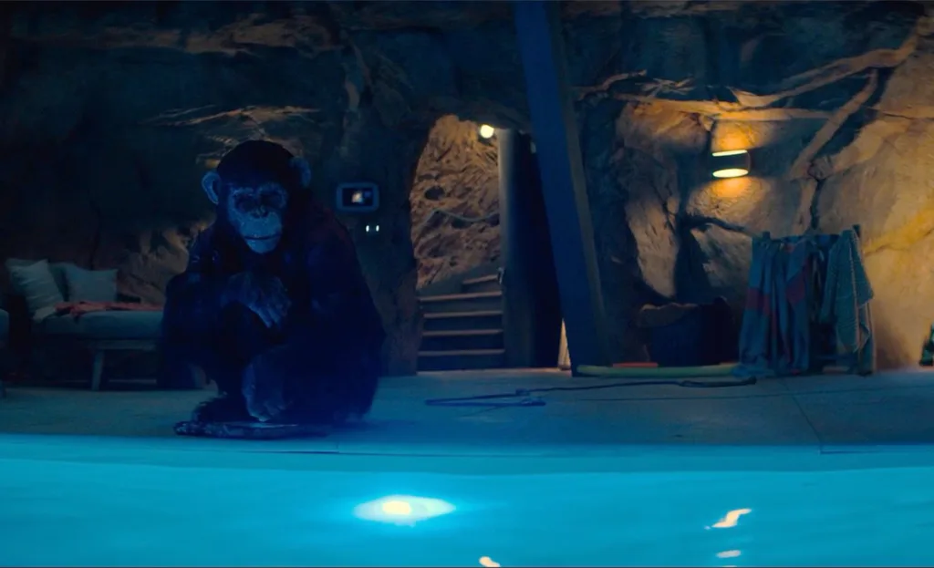 A shot of the ape in Primate